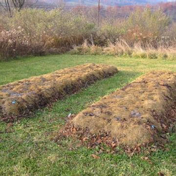Lasagna garden