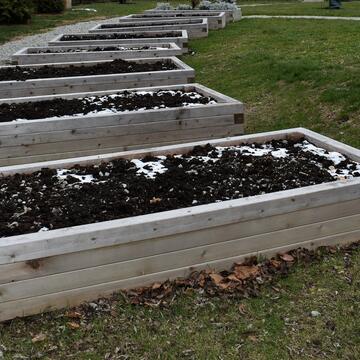 raised winter beds