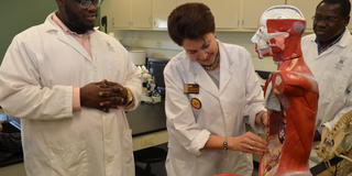 LAB