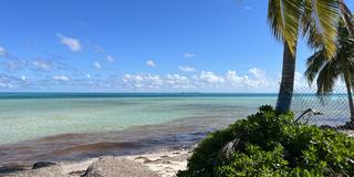 Bahamas Beach Andros