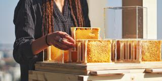 A person with long braids wearing a dark striped shirt works with bee hives in a sustainable agriculture research setting