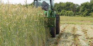 A person driving a farm tractor in a field of crops