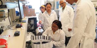 CSU Research Assistant Professor of Entomology Dr. Hongmei Li-Byarlay, works with students in a bee lab while Sharath Krishna, Ph.D., CSU professor of biology and agricultural and life sciences, looks on.