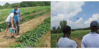 researchers work in and look over a sweet potato farm at Central State University