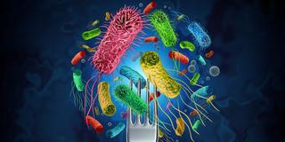Bacteria food outbreak and bacterial infection as a microscopic background as dangerous salmonella and e-coli disease strain case as a medical health risk concept with pathogen