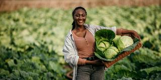 a Black farmer holds a basket of cabbage in a field