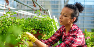 an african american woman cultivates plants in a botanical garden