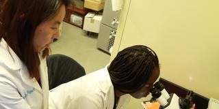 Hongmei Li-Byarlay with undergraduate student researcher Keara Clarke in the Bee Lab at Central State University