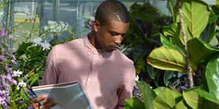 A STEM student examines leaves in a greenhouse