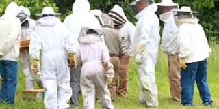 participants in bee grafting seminar at central state university