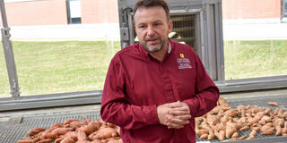 Nagle and potatoes wide
