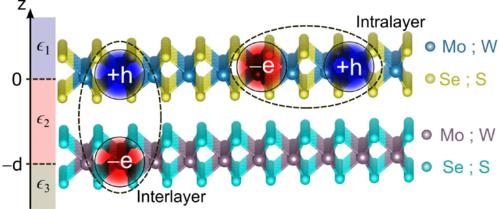 Schematic representation of double-layered Transition Metal Dichalcogenides (TMDs). This configuration supports excitons both within the same layer (intralayer) and across different layers (interlayer).
