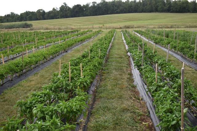 Flourish Farm on the grounds of Richland Correctional Institution