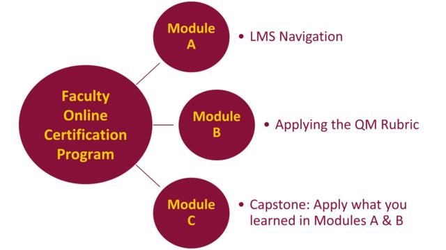 Diagram of the Faculty Online Certification and its components