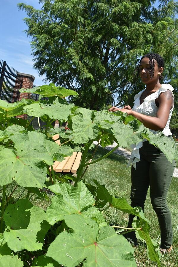 Kamille in the Garden