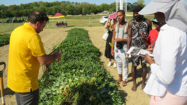Dr. Nagle on the farm